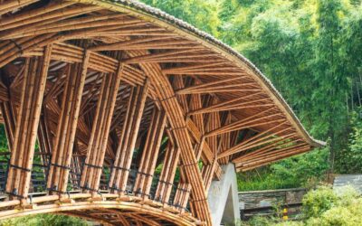 Manual online para construir con bambú